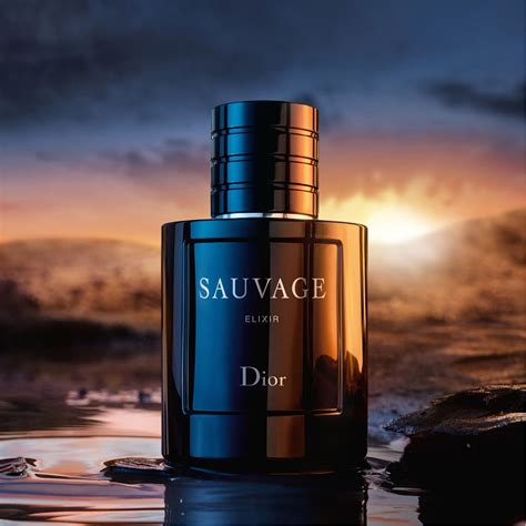 dior sauvage elexit|dior sauvage elixir 60ml price.